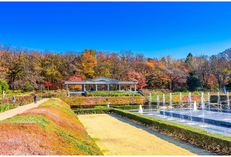 神代植物公園