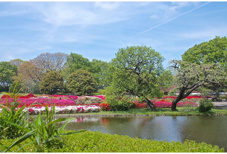 神代植物公園