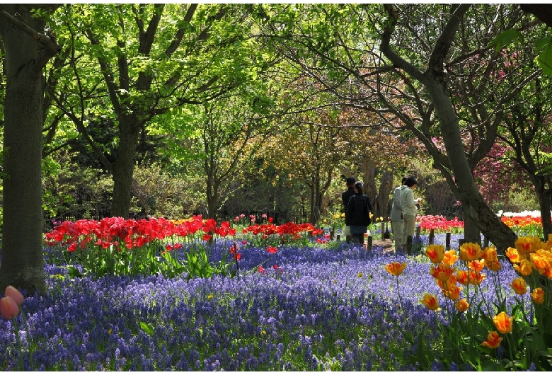 百合が原公園