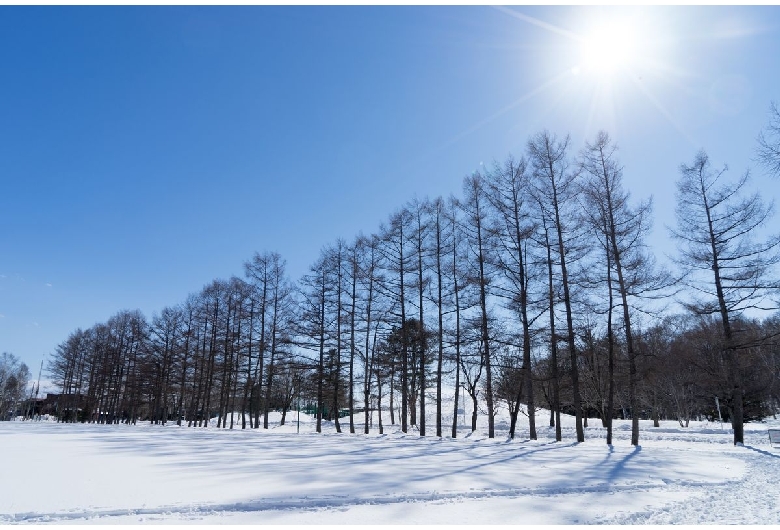 緑ヶ丘公園