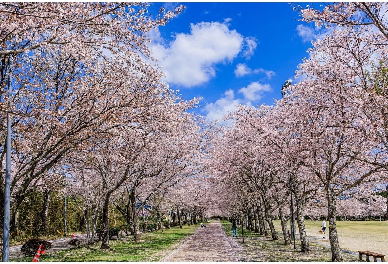 忠元公園