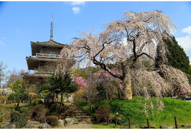 浄専寺