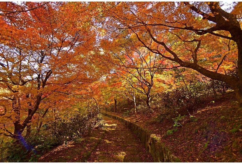 蓮華院誕生寺奥之院