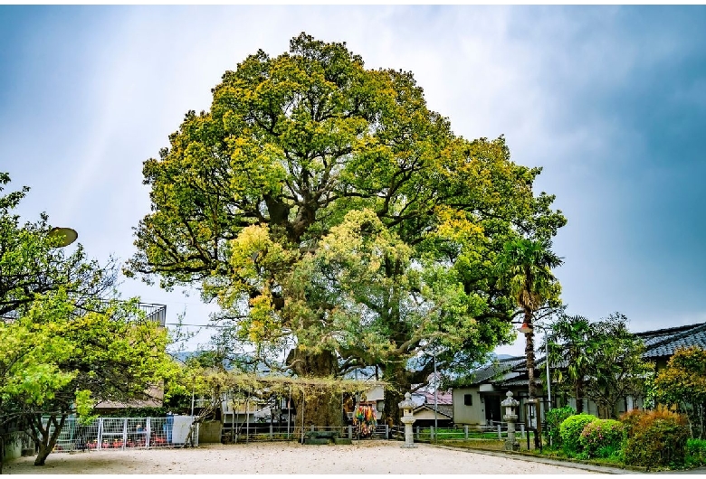 山王神社