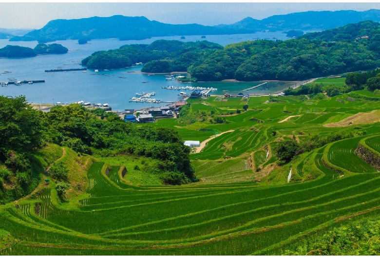 大浦の棚田