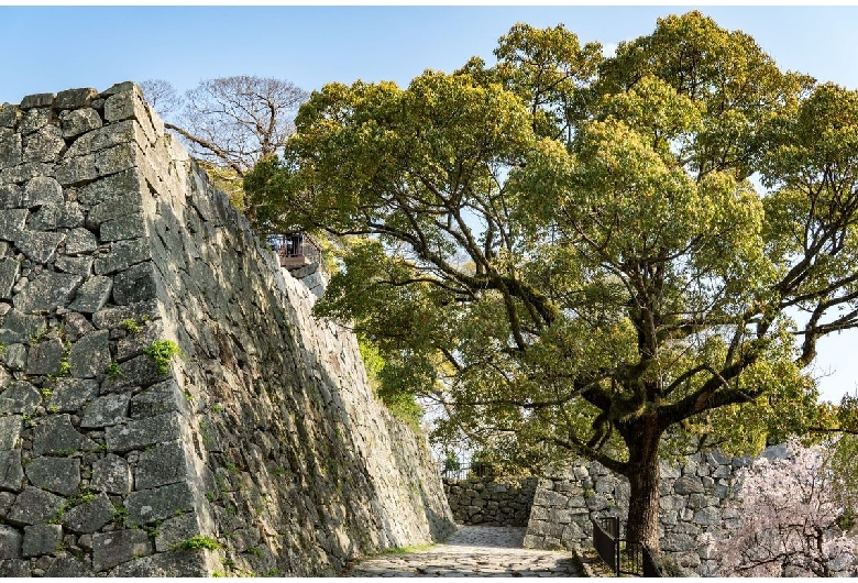 福岡城跡（舞鶴公園）