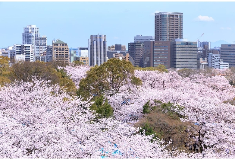 福岡城跡（舞鶴公園）