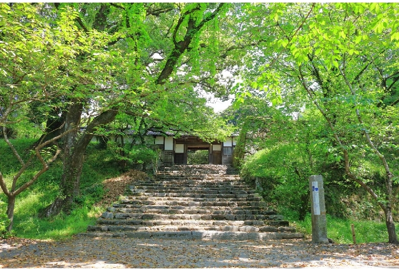 福岡城跡（舞鶴公園）