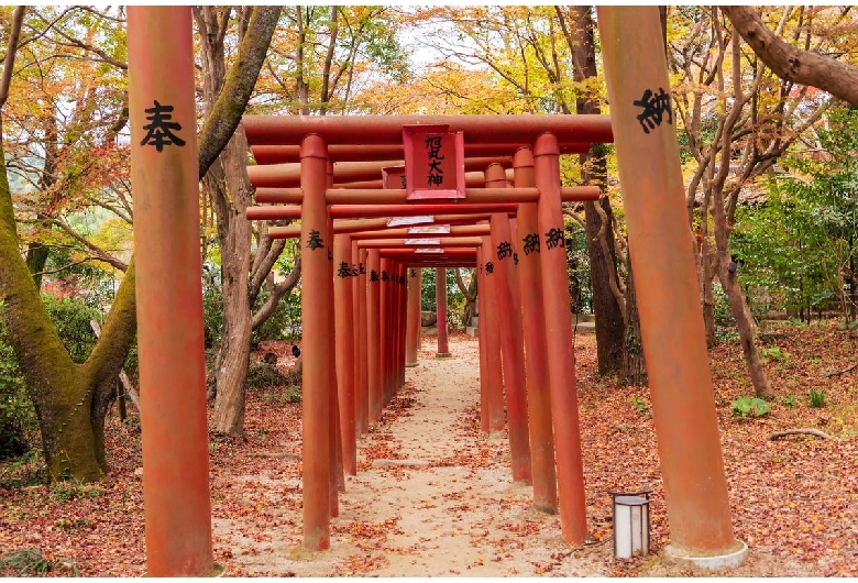 宝満宮竈門神社