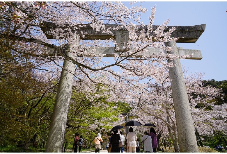 宝満宮竈門神社