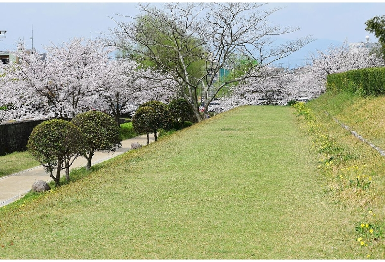 大宰府政庁跡