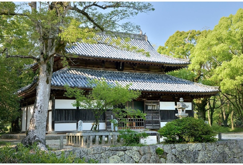 観世音寺