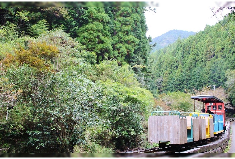 馬路森林鉄道