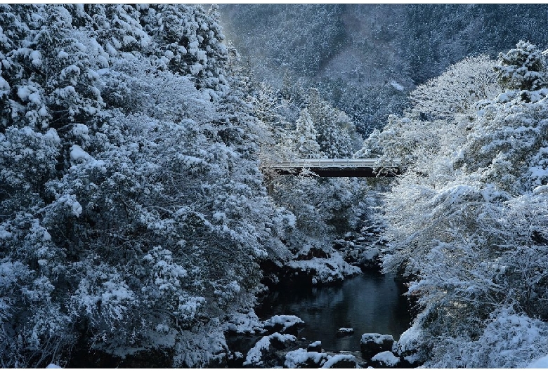 仁淀川