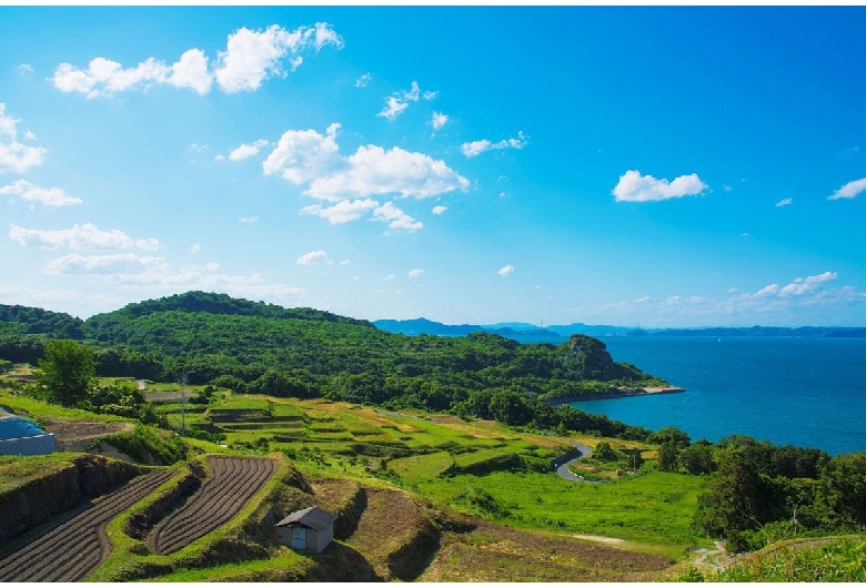 豊島