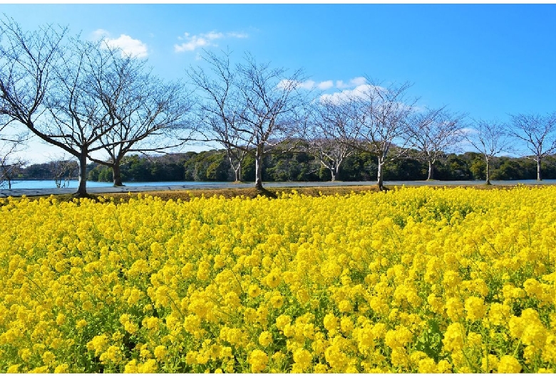 常盤公園