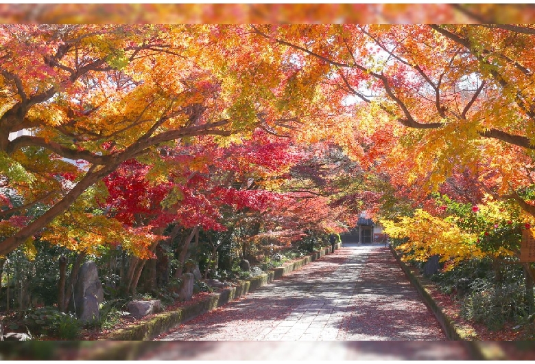 龍福寺