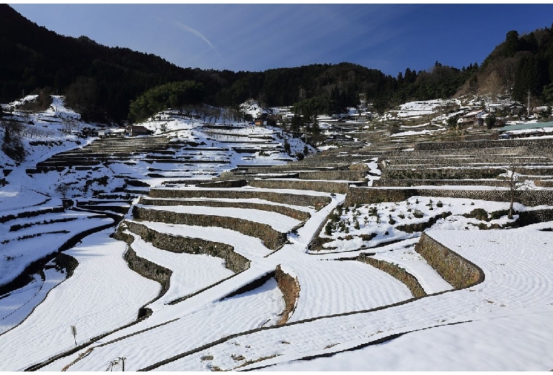 井仁の棚田