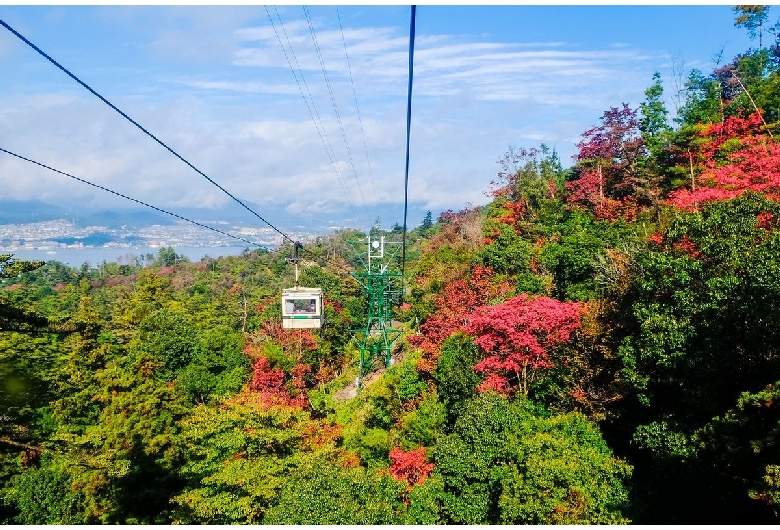 宮島（弥山地区）