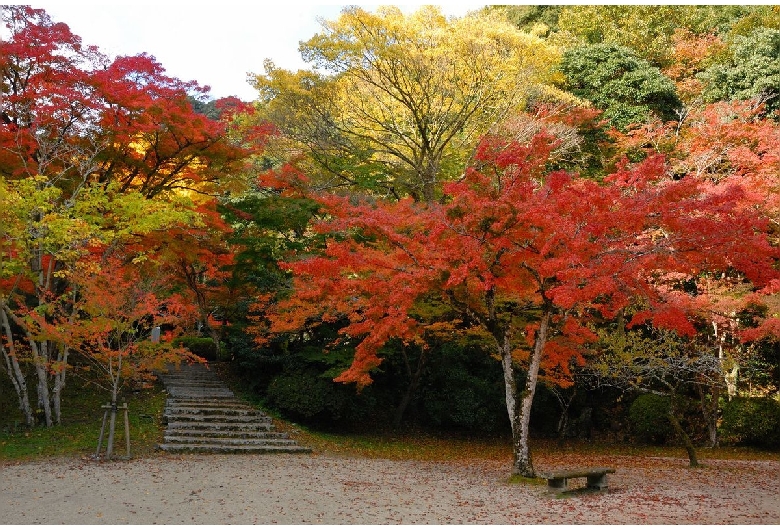 宮島（弥山地区）