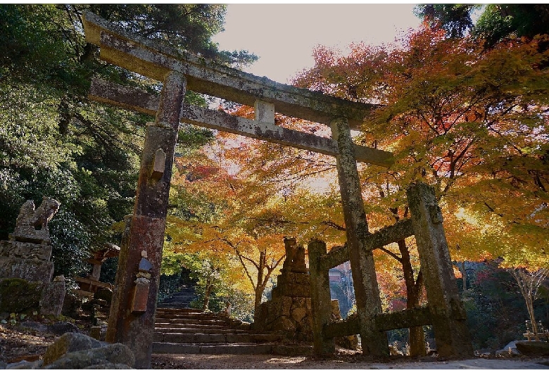 宮島（弥山地区）