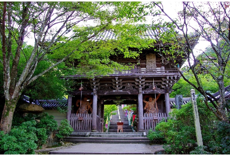 宮島（厳島神社地区）