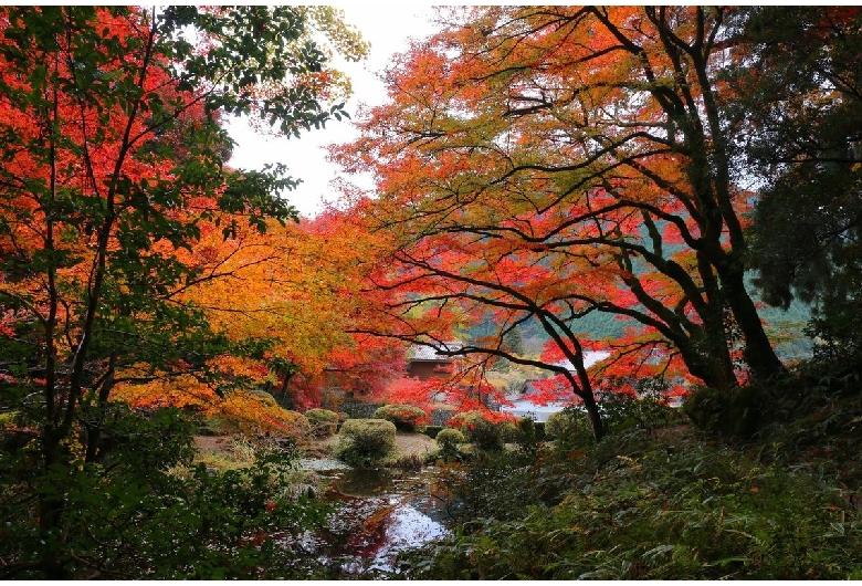 吉水園