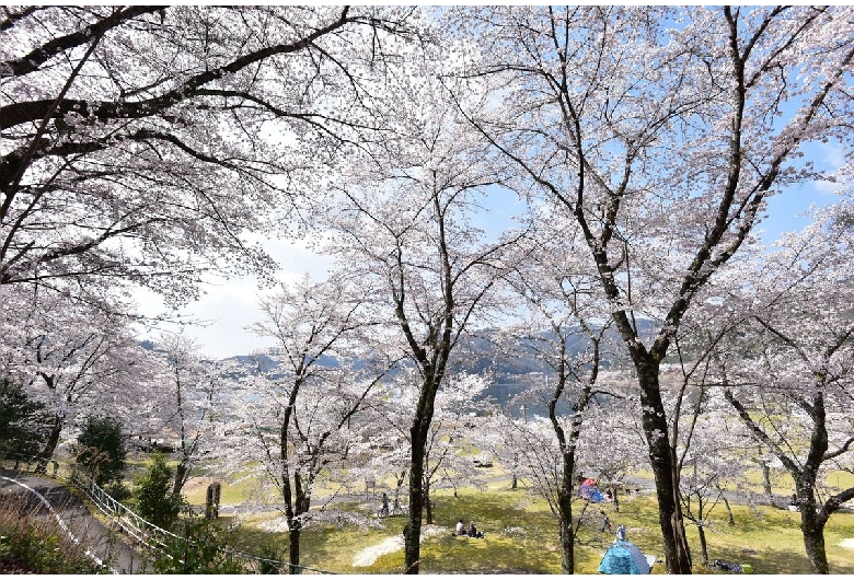 八千代湖（土師ダム）