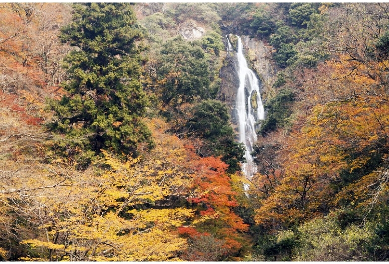 神庭の滝