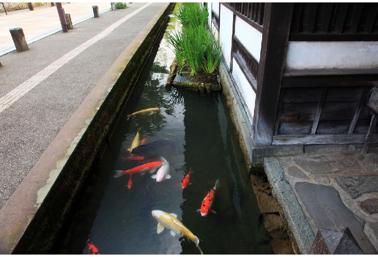 津和野町（伝統的建造物群保存地区）