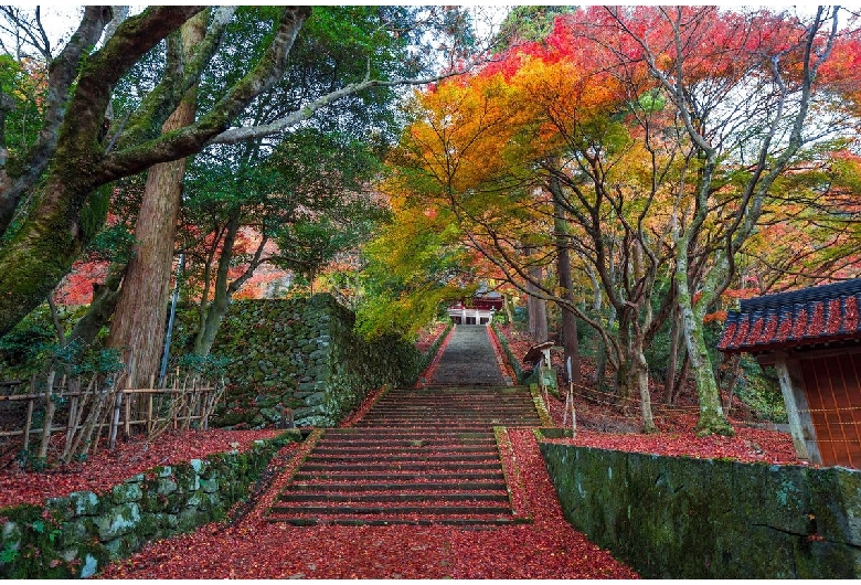 鰐淵寺