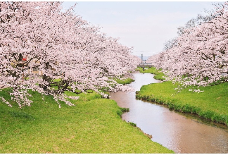 玉湯川堤