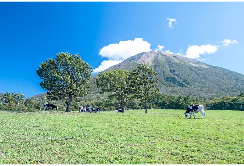 大山まきばみるくの里