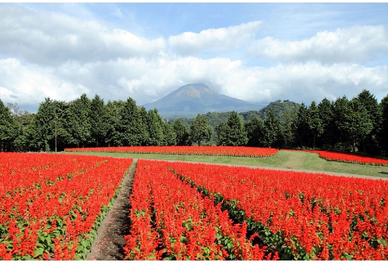 大山まきばみるくの里