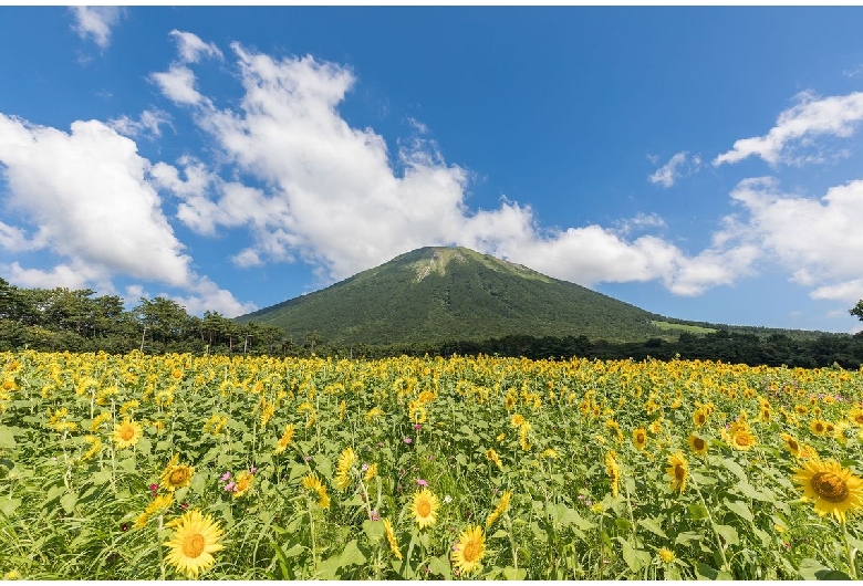 大山まきばみるくの里