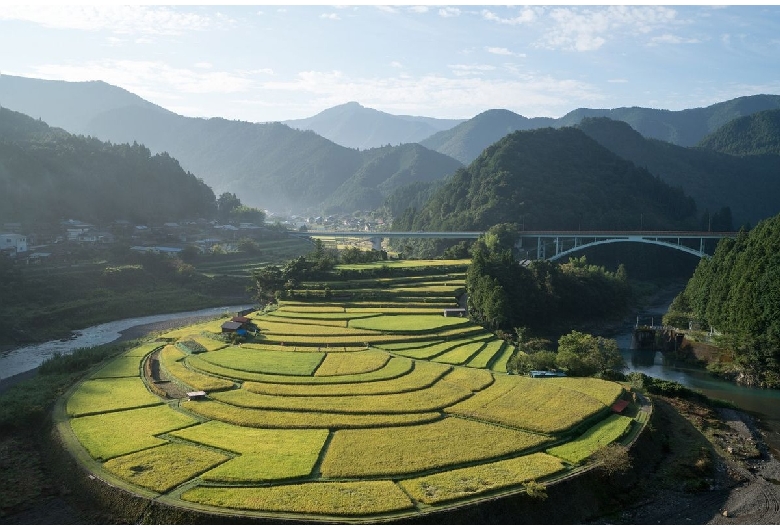 あらぎ島