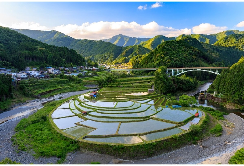 あらぎ島