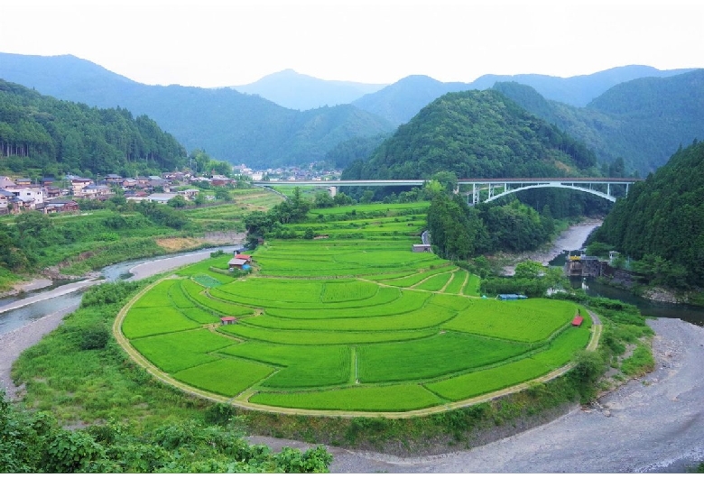 あらぎ島