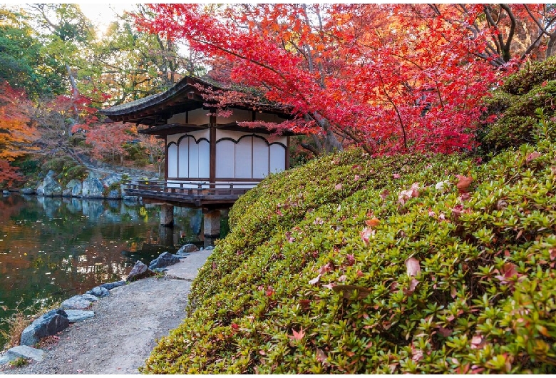 和歌山城・紅葉渓庭園