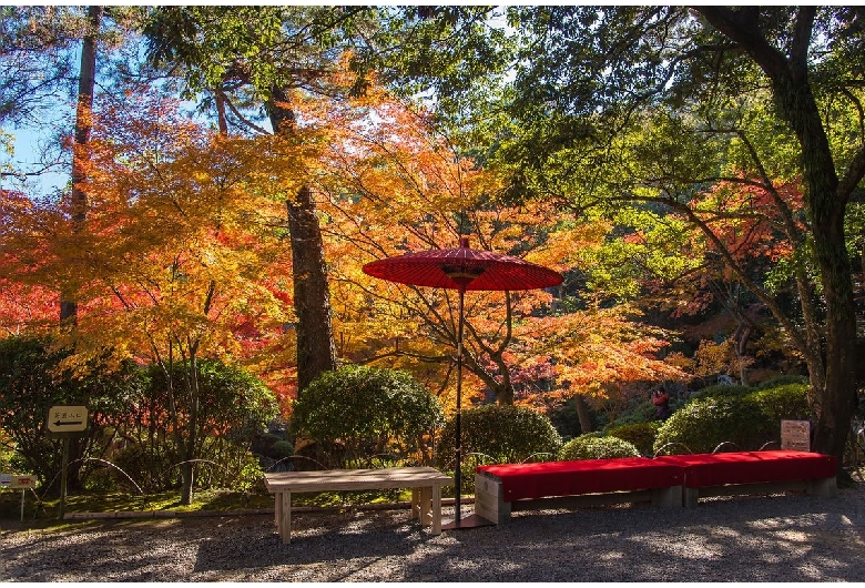 和歌山城・紅葉渓庭園