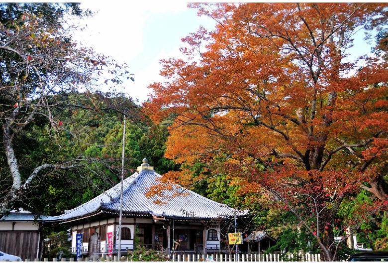 補陀洛山寺