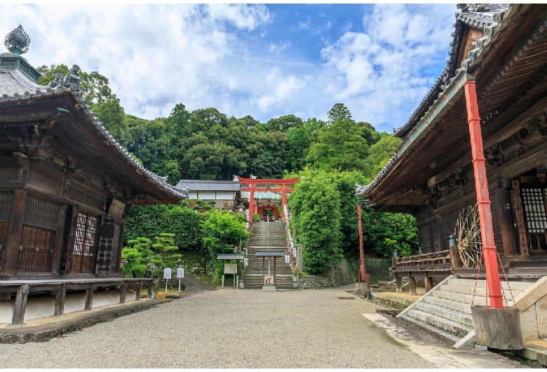 粉河寺