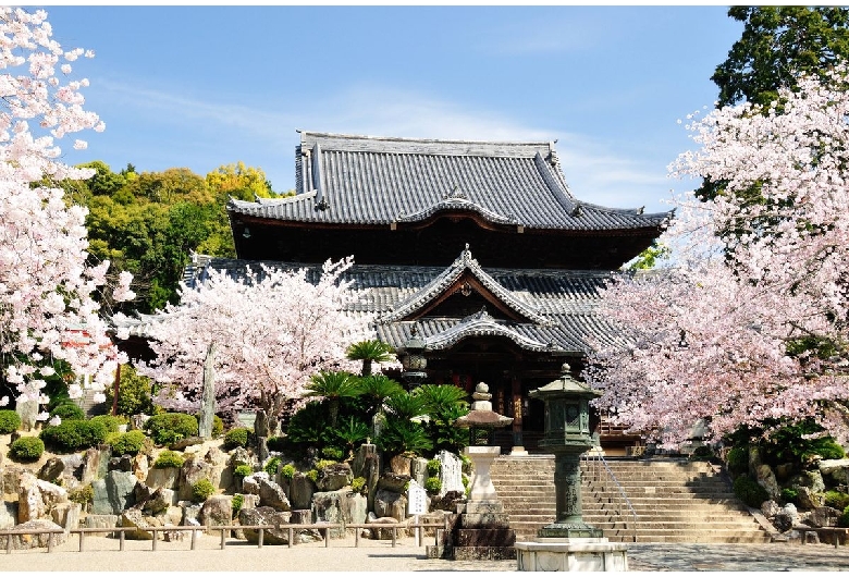 粉河寺