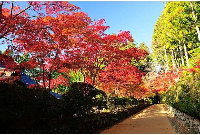 高野山壇上伽藍・金剛峯寺