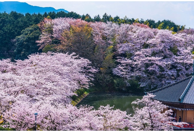 安倍文殊院