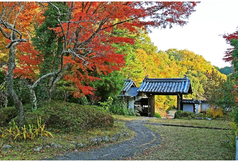 芳徳寺