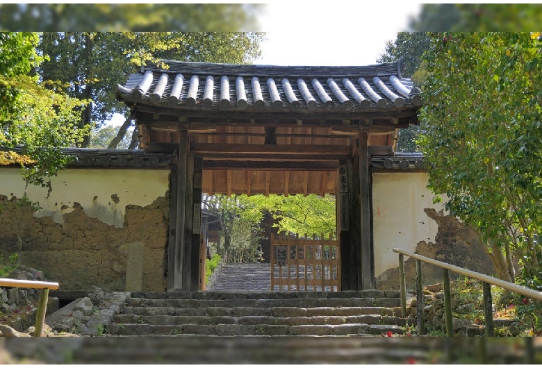 白毫寺