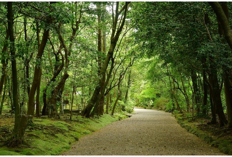 秋篠寺