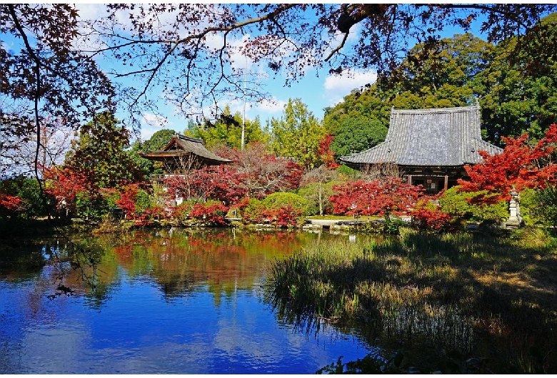 長岳寺