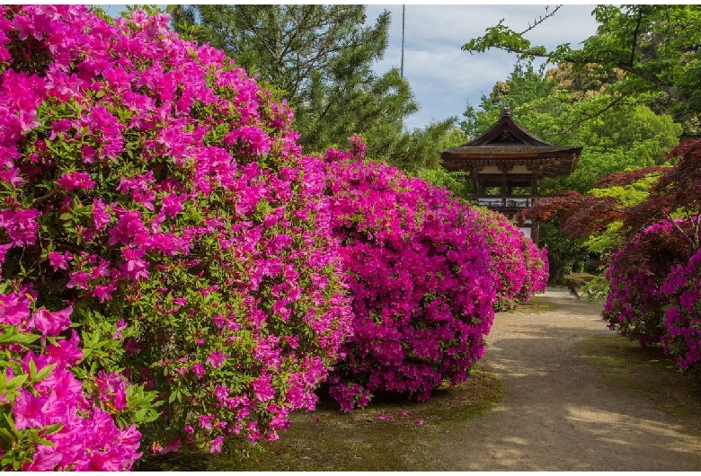 長岳寺